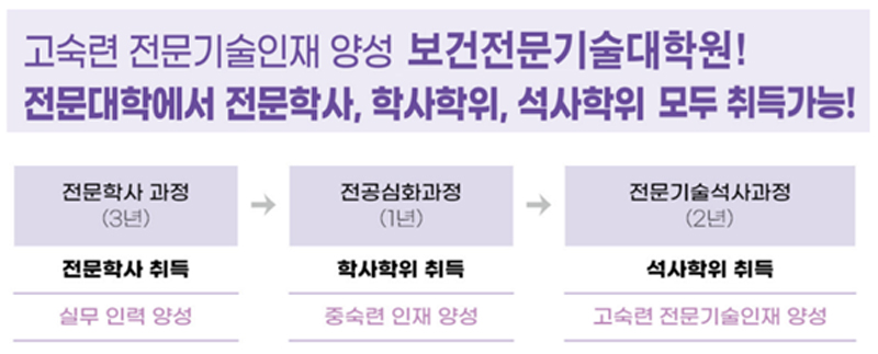 마이스터대 과정